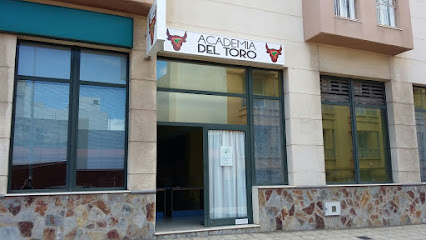 Academia Del Toro