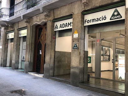 ADAMS Formació Barcelona | Acadèmia d’Oposicions, ​​Cursos i Llibres